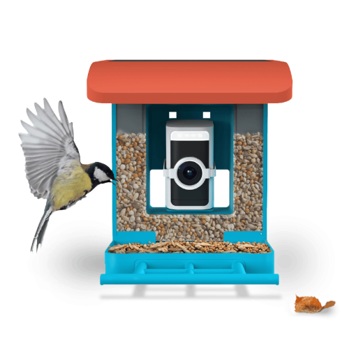 Wyze Bird Feeder - Image 9